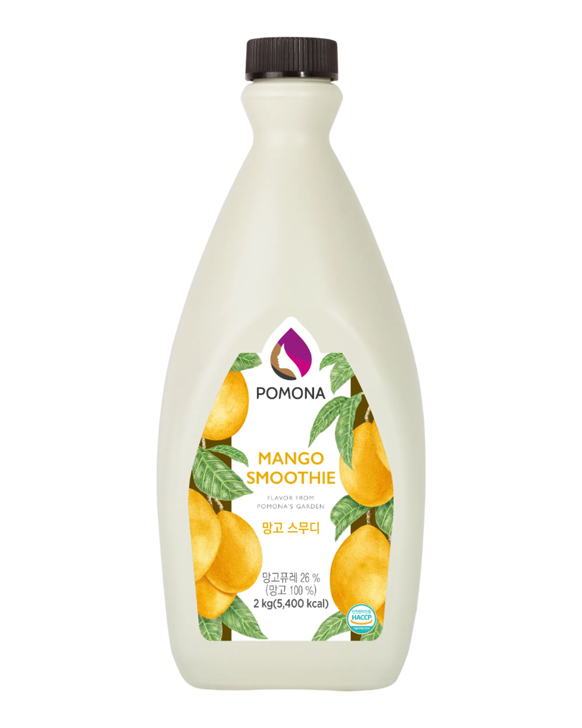 Sốt Sinh Tố Vị Xoài - 2kg